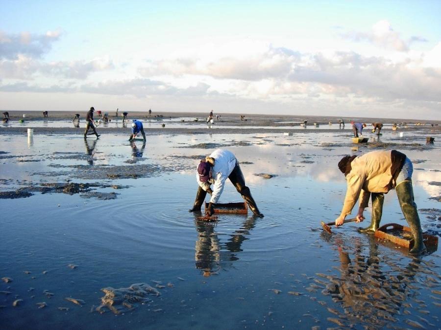 Le Gite De Martine En Baie De Somme Villa Lancheres ภายนอก รูปภาพ