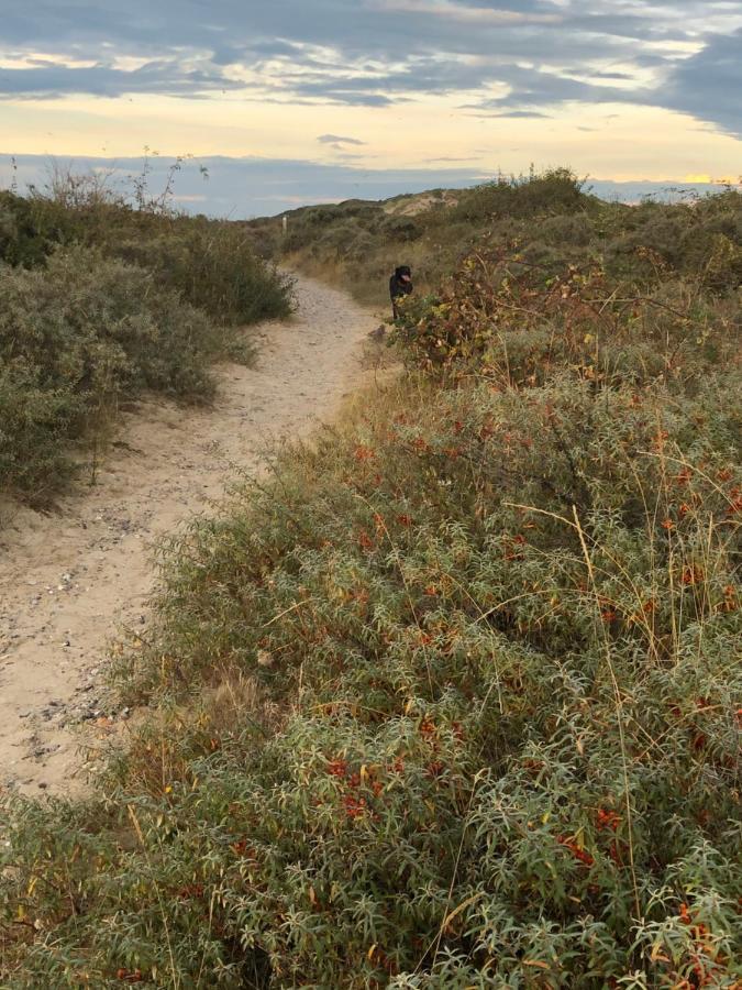 Le Gite De Martine En Baie De Somme Villa Lancheres ภายนอก รูปภาพ