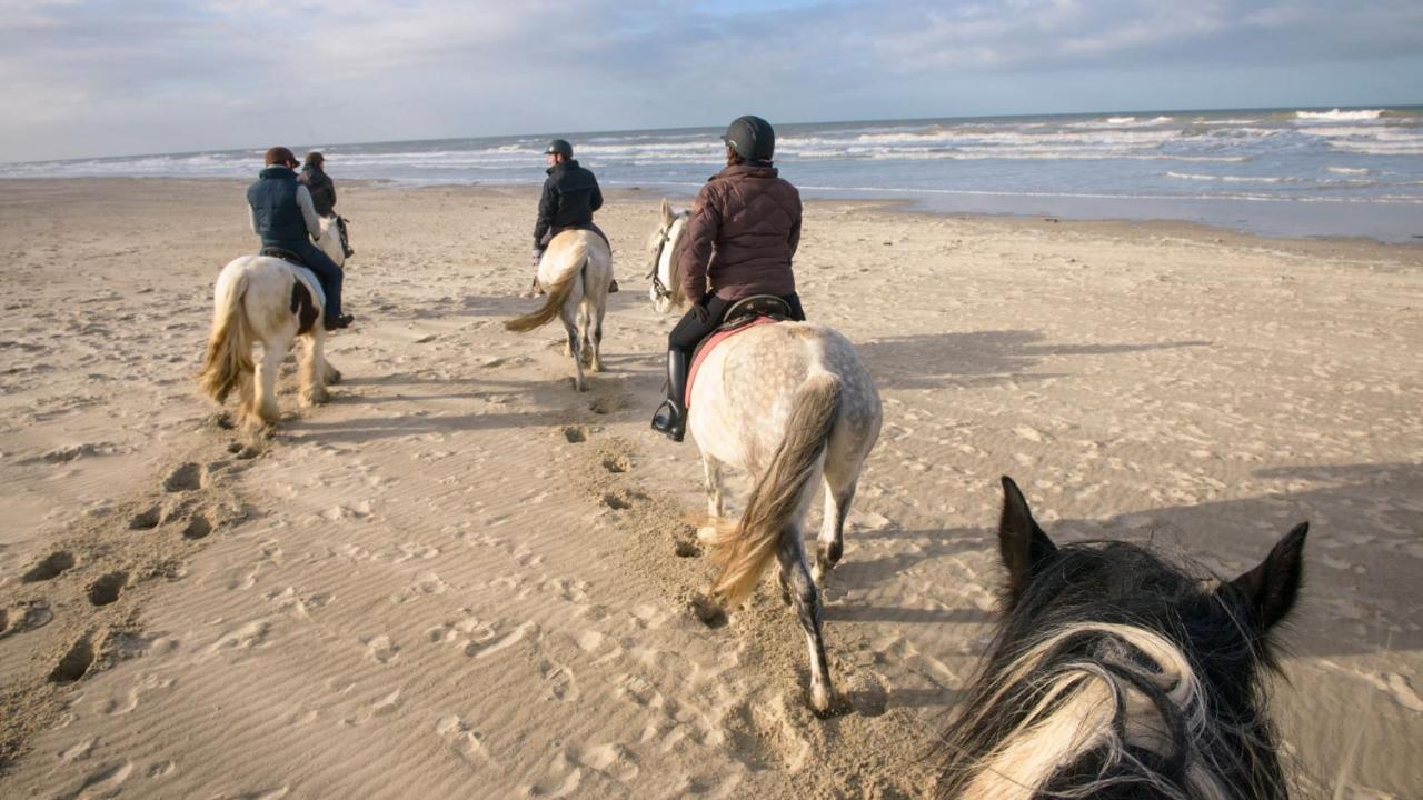 Le Gite De Martine En Baie De Somme Villa Lancheres ภายนอก รูปภาพ