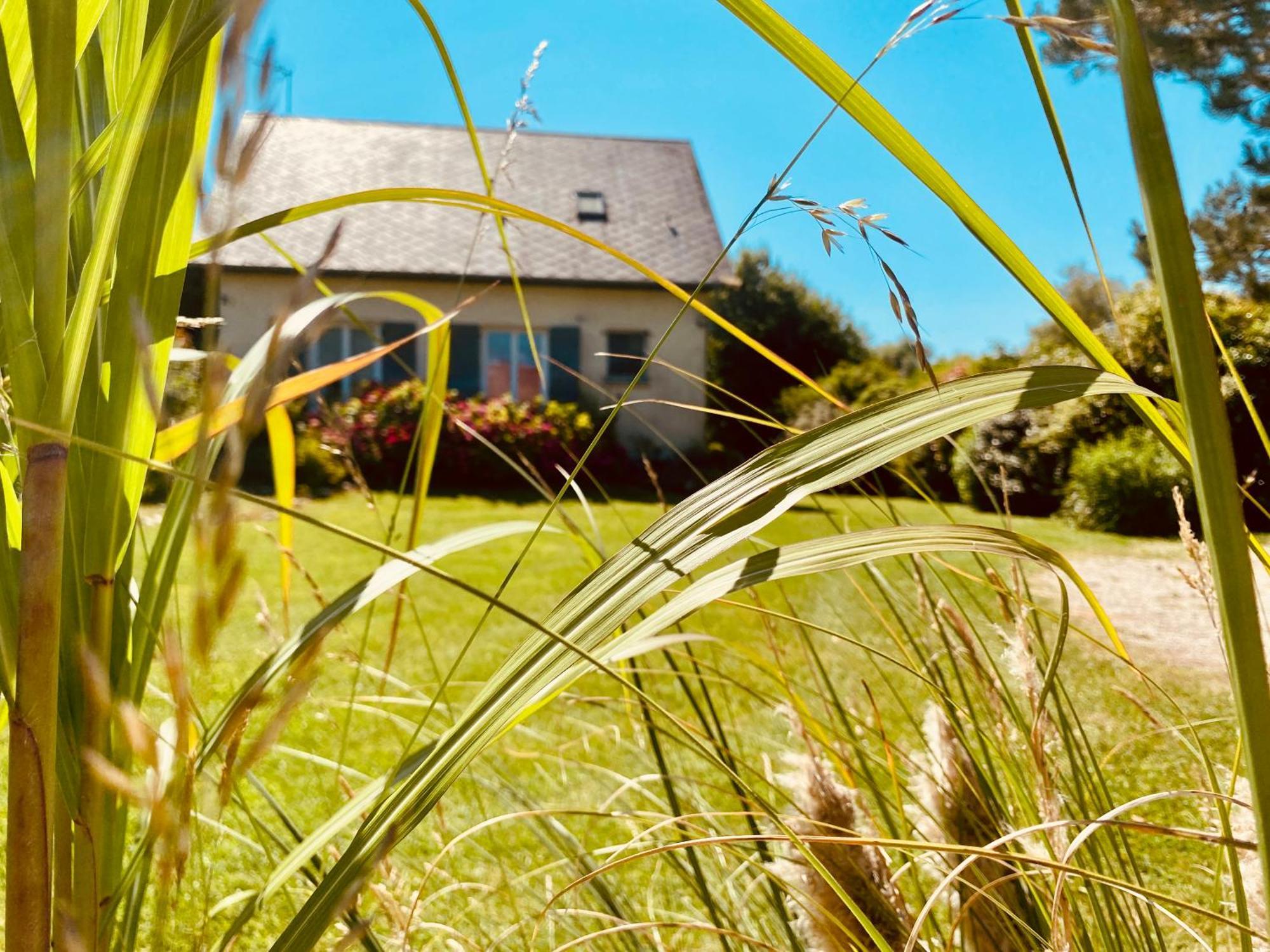 Le Gite De Martine En Baie De Somme Villa Lancheres ภายนอก รูปภาพ